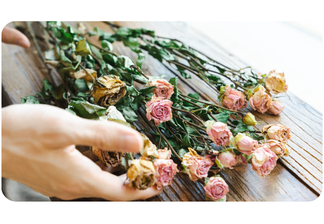 The Magic of Preserving Flowers for Years