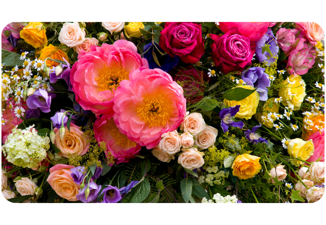 The Healing Power of Flowers