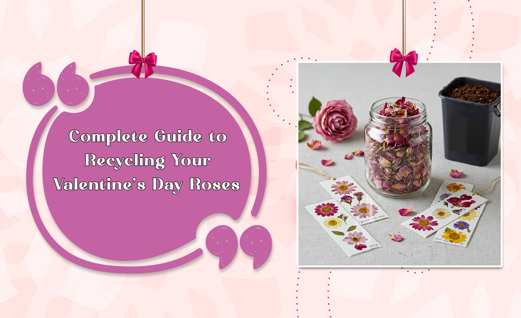 Complete Guide To Recycling Your Valentine's Day Roses