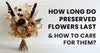 How Long Do Preserved Flowers Last & How to Care for Them?