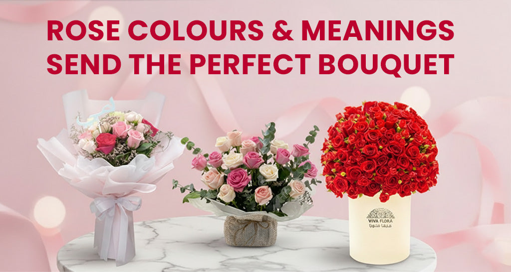 Rose Colours & Meanings: Send the Perfect Bouquet in Qatar