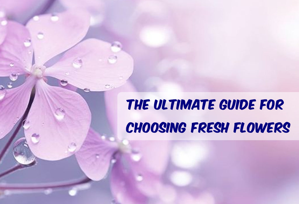 The Ultimate Guide for Choosing Fresh Flowers