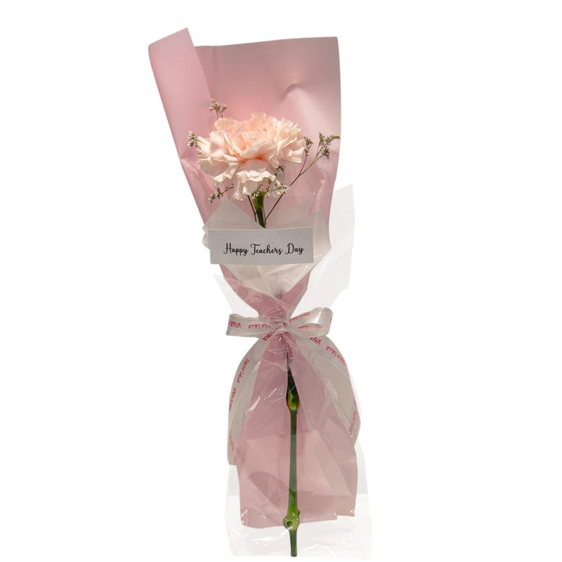 Pink Carnation (7Pcs)