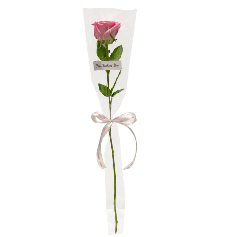 Pink Rose 1 (10Pcs)