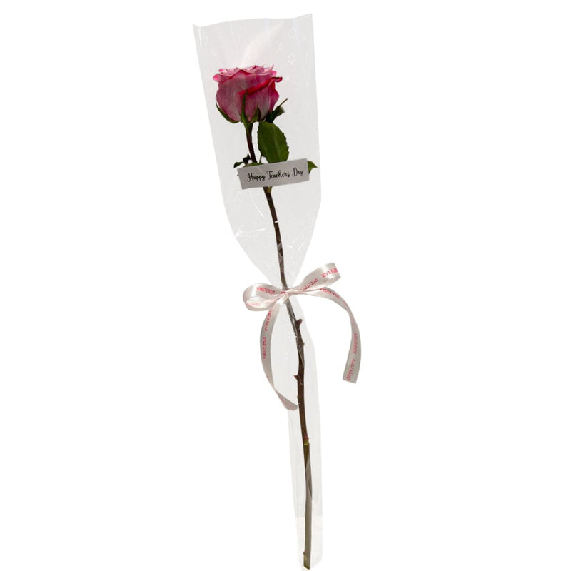 Purple Rose (10Pcs)