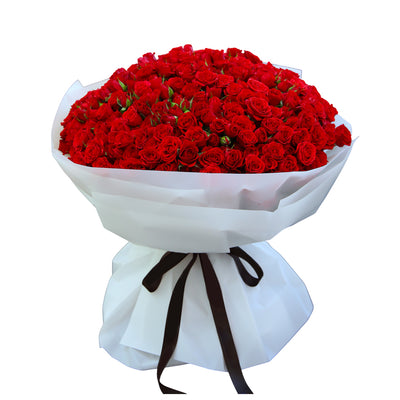 Ruby Red is the perfect red rose bouquet for Valentine’s Day, celebrating love and cherished moments.