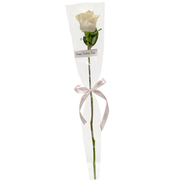 White Rose 2 (10Pcs) Teacher's Day Gifts Teacher's Day Gifts