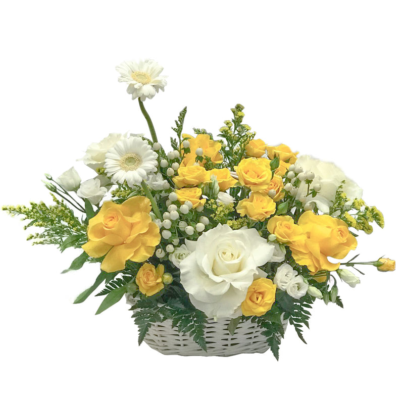 Ayad 1 - Fresh Flowers