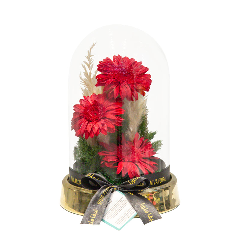 Gerbera