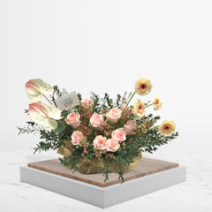 Shades - Fresh Flower