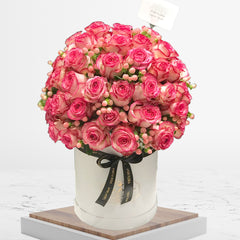 Specular - Fresh Flower