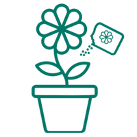 Image of A care guide with flower food will be sent with your gift for your flowers to bloom longer.