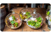 5 Creative Ways to Use Flowers in Your Home Decor