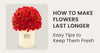 How to Make Flowers Last Longer: Easy Tips to Keep Them Fresh