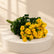 flowers for wholesale in doha qatar