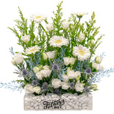 Daddy - Father's Day Flowers