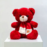 adorable 30cm soft red teddy in white background perfect gifting option for birthday, anniversary, valentines day from viva flora qatar