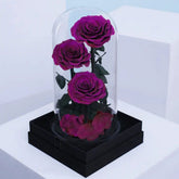 Purple Trio Forever Rose