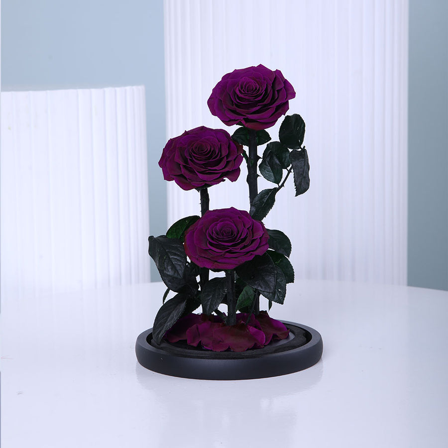 Elegant arrangement of three purple preserved roses in luxury wrapping for gifting in Doha Qatar