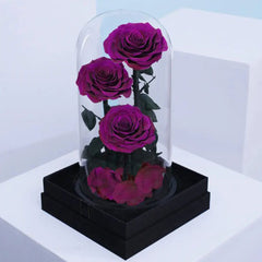 Purple Trio Forever Rose