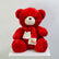 40 cm red teddy bear send to your loved once in qatar, viva flora offer same day delivery all over qatar, this teddy specially for valentines day