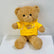 40cm Brown Jacket Soft Teddy