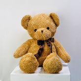 send teddy as a gift from viva flora premium look teddy bear at low price 