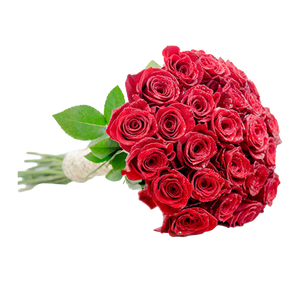 Fresh Flowers