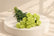 Green Carnation flowers for wholesale price range 