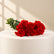 Carnation