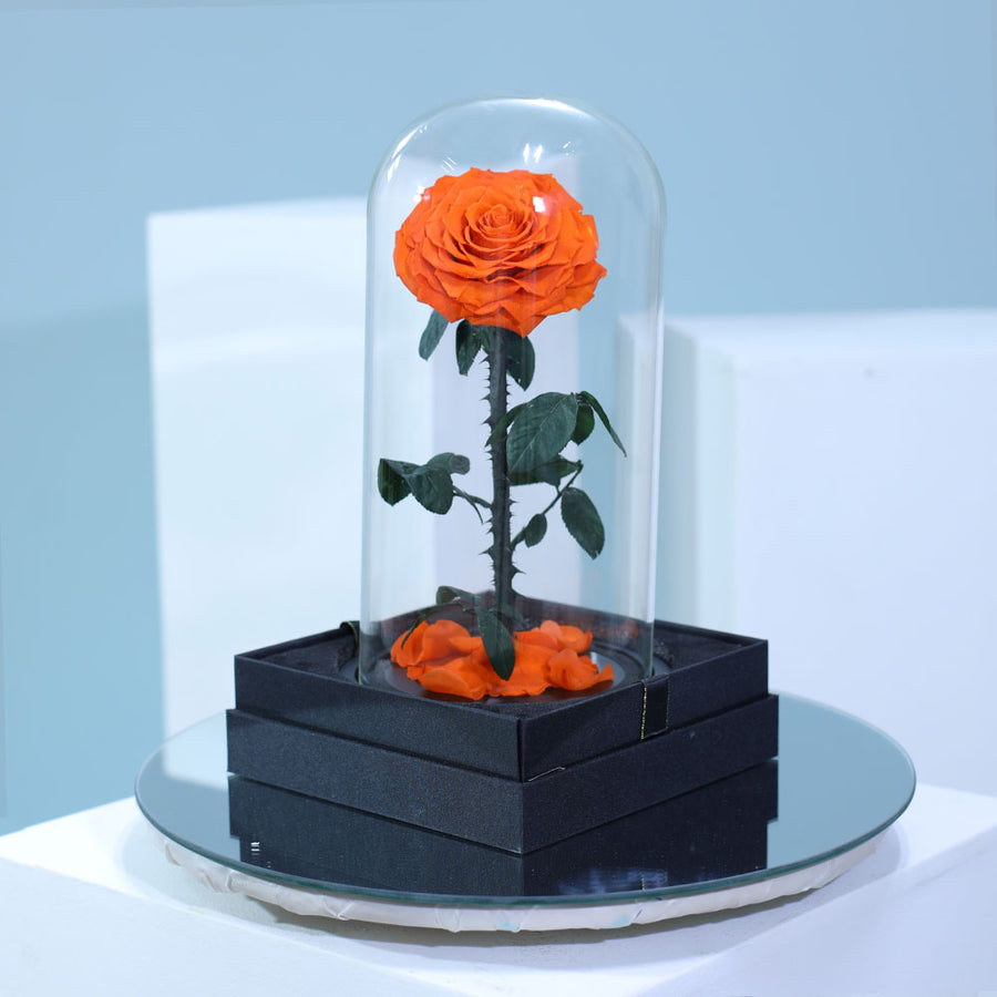 Vibrant orange preserved single rose in elegant luxury wrapping for gifting in Qatar