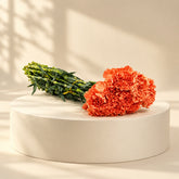 Send orange flowers in in qatar for wholesale price