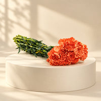 Send orange flowers in in qatar for wholesale price