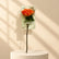 Mixed Teachers day Flowers