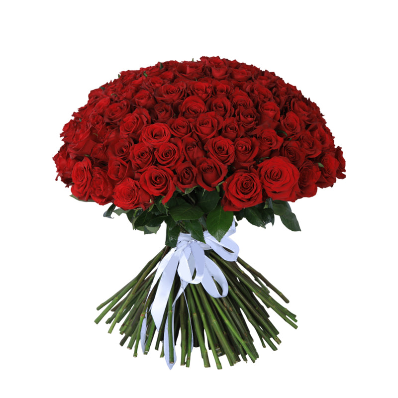 Hand-tied bouquet of long-stem red roses, perfect for expressing passion on Valentine’s Day.