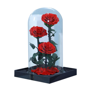 Preserved Flowers