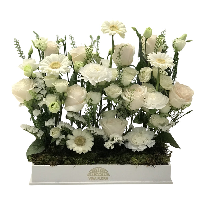 An arrangement of white flowers, including roses, daisies, and carnations, in a white box.