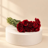 A cluster of deep red carnation flowers with green stems resting on a white surface.