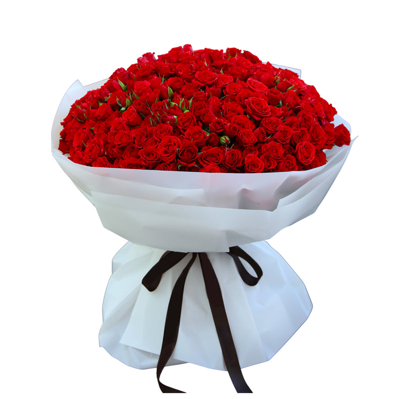  Ruby Red is the perfect red rose bouquet for Valentine’s Day, celebrating love and cherished moments.