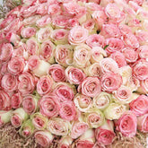 A large, dense floral bouquet made up of mostly pink roses with cream and blush tones, wrapped in pale pink paper and held by a person whose head, torso, and legs are partially visible against a plain light wall.