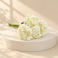 flowers buy in Qatar for wholesale price