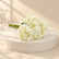flowers buy in Qatar for wholesale price