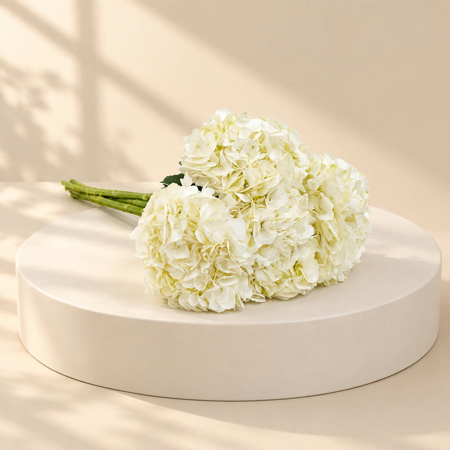 flowers buy in Qatar for wholesale price