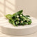 A small bunch of tulips with green leaves and pale white flower buds, tied together and placed on a white surface against a white background.