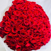 A large bouquet of vibrant red roses wrapped in white tissue paper, arranged in a rounded shape.