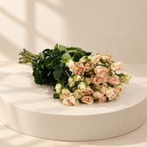 10 stems of baby roses order in doha 