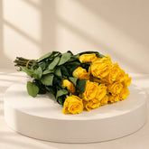 roses for wholesale price in qatar