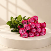 fresh 25 stems of double colour roses for wholesale price