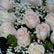 Blush and white roses bouquet wrapped in black paper with baby’s breath