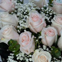 Blush and white roses bouquet wrapped in black paper with baby’s breath